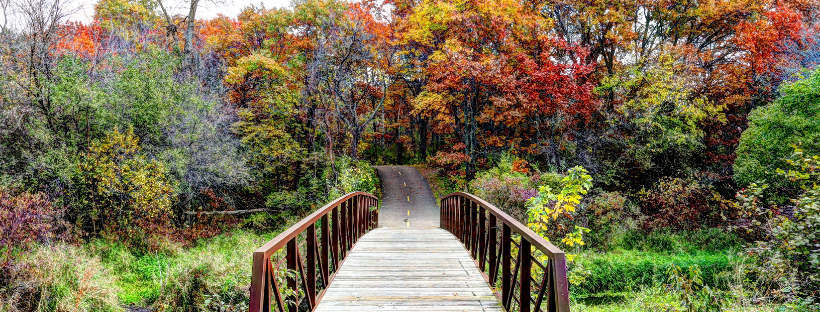 Facebook Cover - Fall Leaves 2