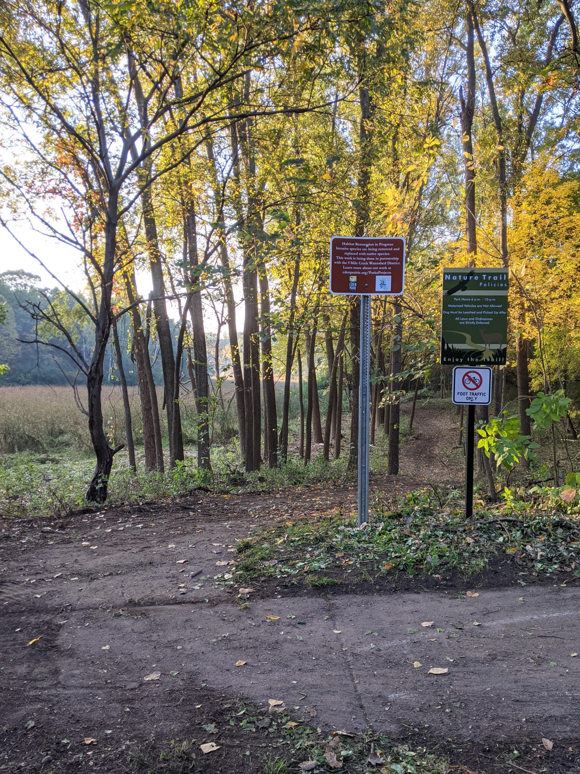 Parkland after buckthorn removal