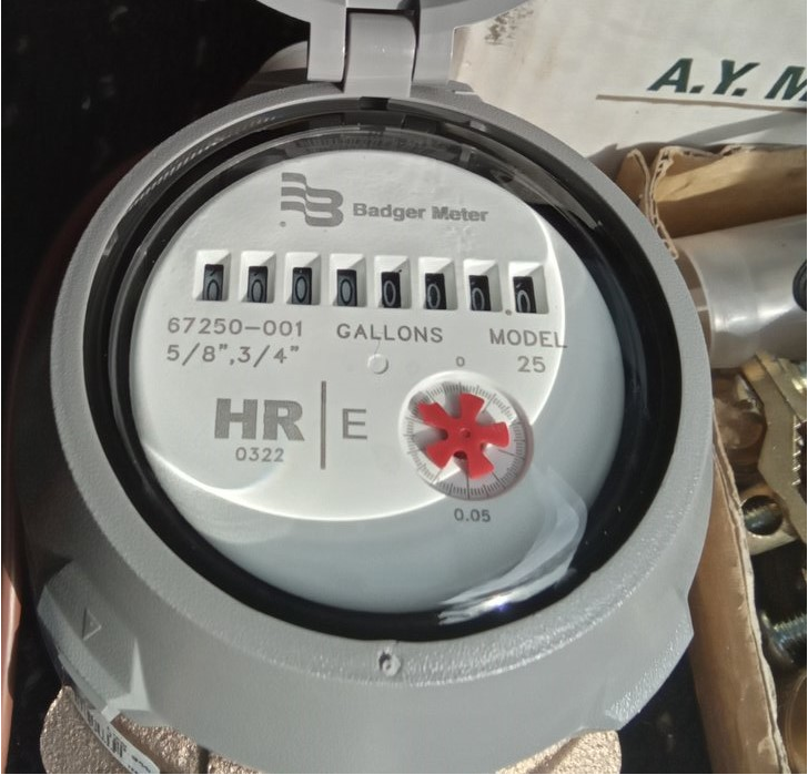 Badger water meter