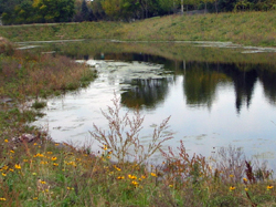 Stormwater Pond photo