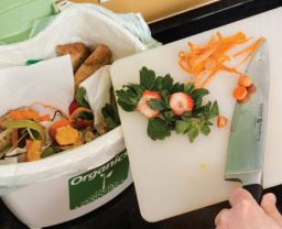 Organics recycling
