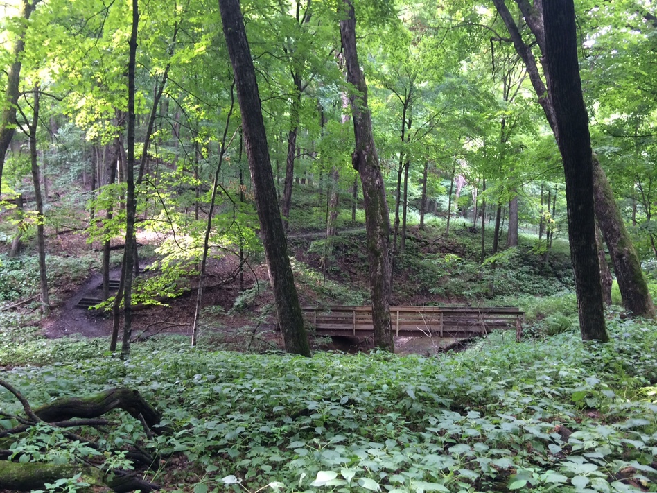 Riley Purgatory Bluff Ceek Watershed District