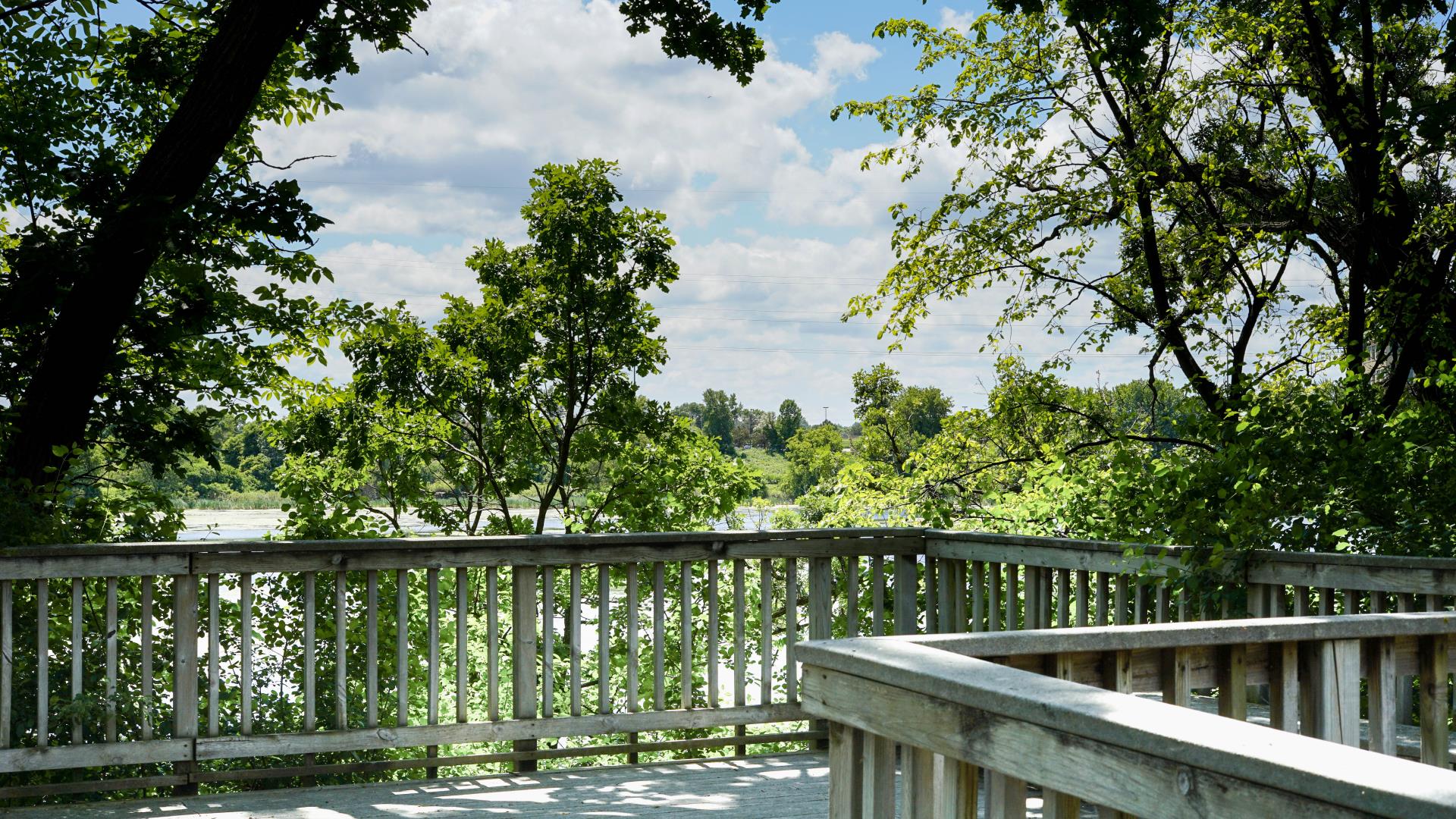 Smetana Lake Viewing Platform