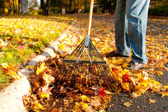 Raking Leaves out of Gutter